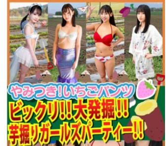 STVF-095 素人パンチラ in 自宅で個人撮影会vol.99！鮮度抜群な果物の様にみずみずしいフレッシュさ溢れ出る可憐な清純ガールたち大豊作の恥じらい撮影会