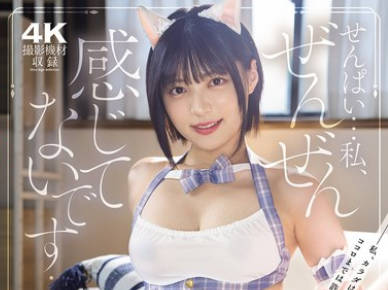 MIAB-583 「せんぱい&hellip;私、ぜんぜん感じてないです&hellip;」 いつでも即ハメOKの肉オナホ契約した後輩に何度も中出す孕ませレンタル同棲 虹村ゆみ