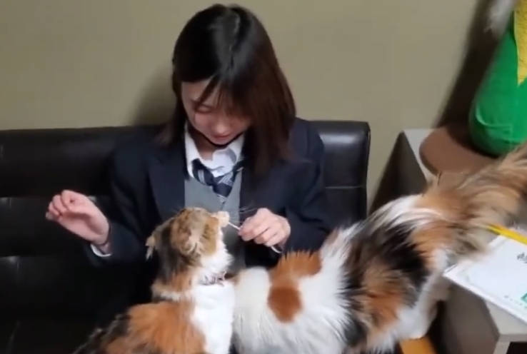 FC2PPV-3254904来自当地网球俱乐部的丰满美女