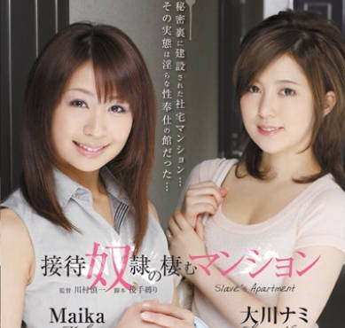 rbd-375接待奴隶的专用公寓-Maika 大川奈美